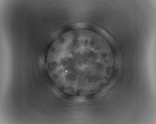 X0000111160377200907071134
