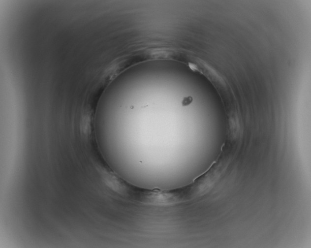 X0000111160379200907071134