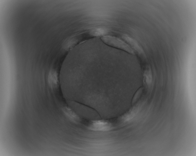 X0000111160380200907071134