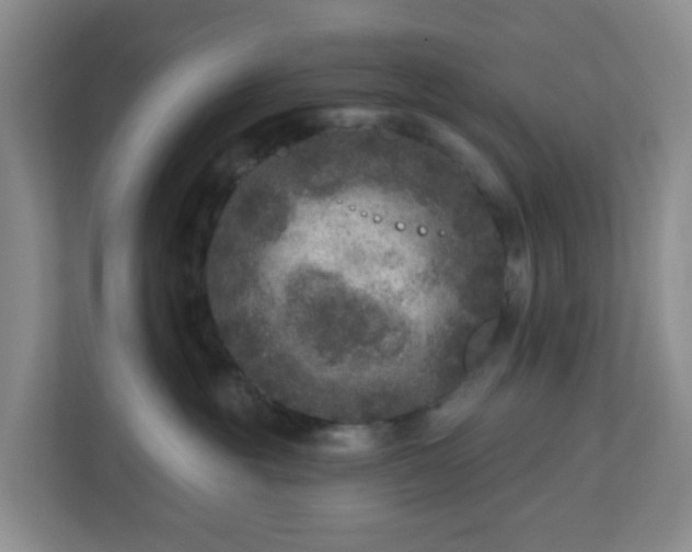 X0000111160381200907071134