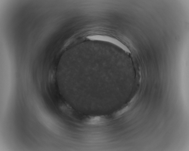 X0000111160382200907071134