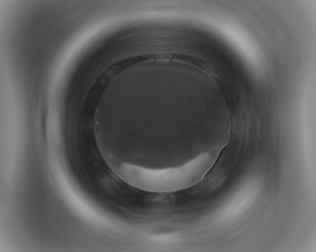 X0000111160383200907071134