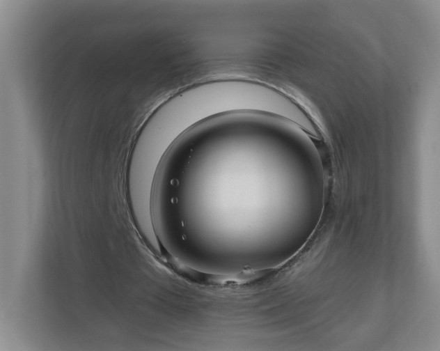 X0000111160385200907071133
