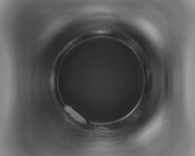 X0000111160387200907071133