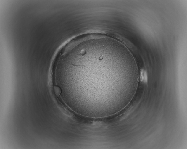 X0000111160388200907071133