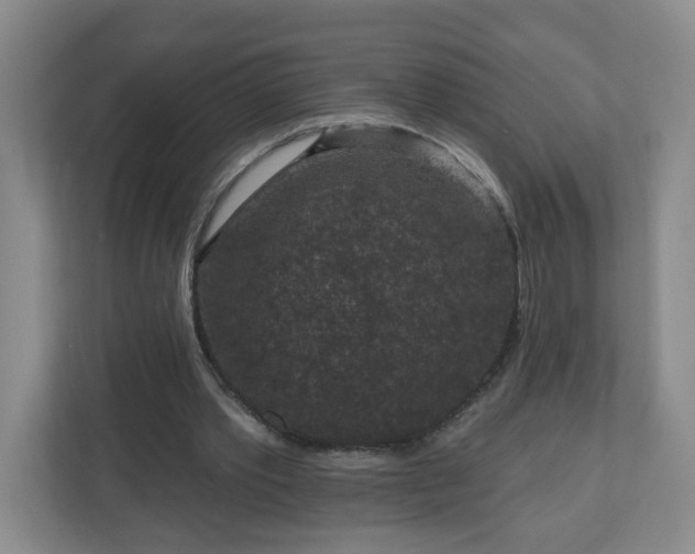 X0000111160389200907071133