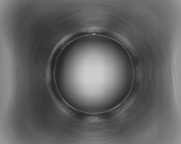 X0000111160392200907071133