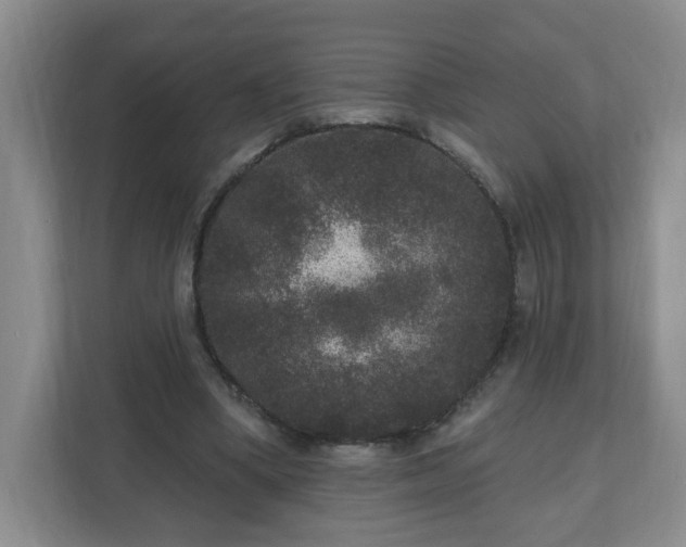 X0000111160394200907071133