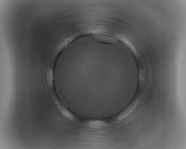 X0000111160397200907071133