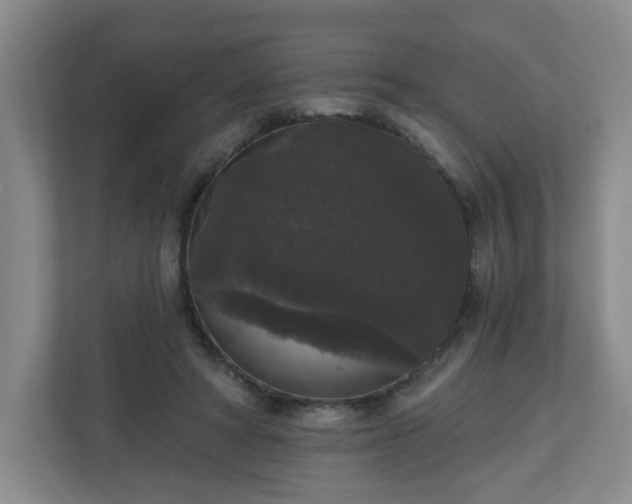 X0000111160402200907071133