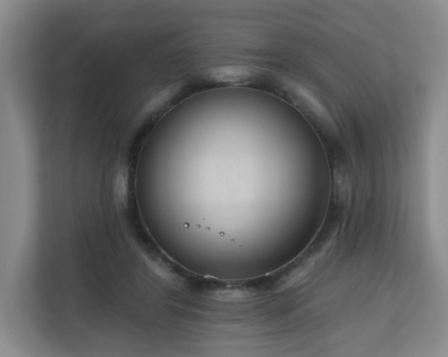 X0000111160404200907071133