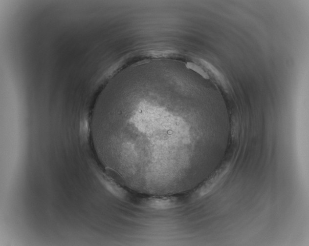 X0000111160405200907071133