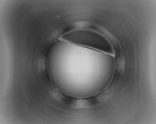 X0000111160413200907071133