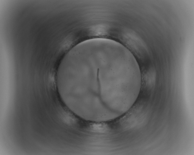 X0000111160415200907071133
