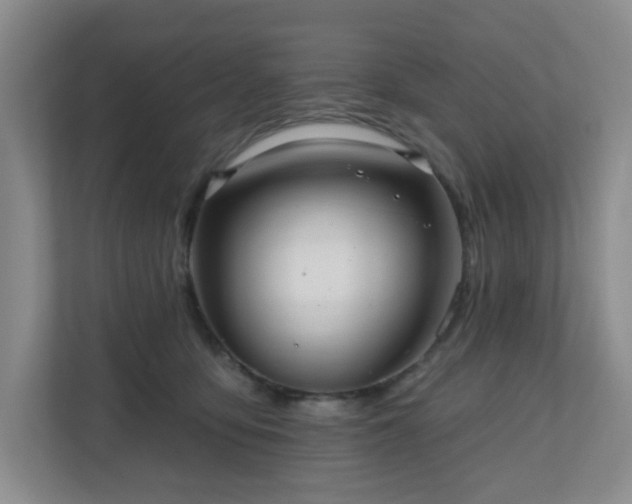 X0000111160419200907071133
