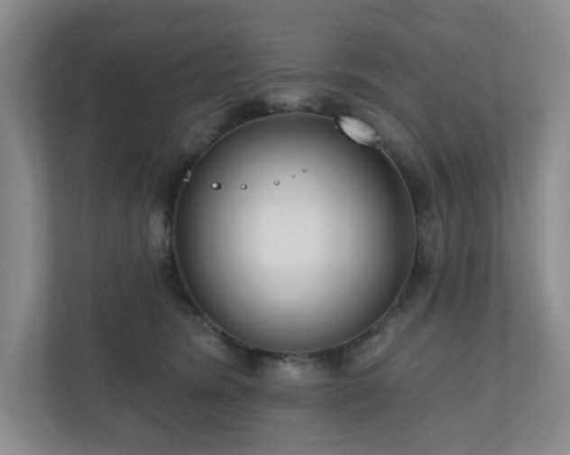 X0000111160420200907071133