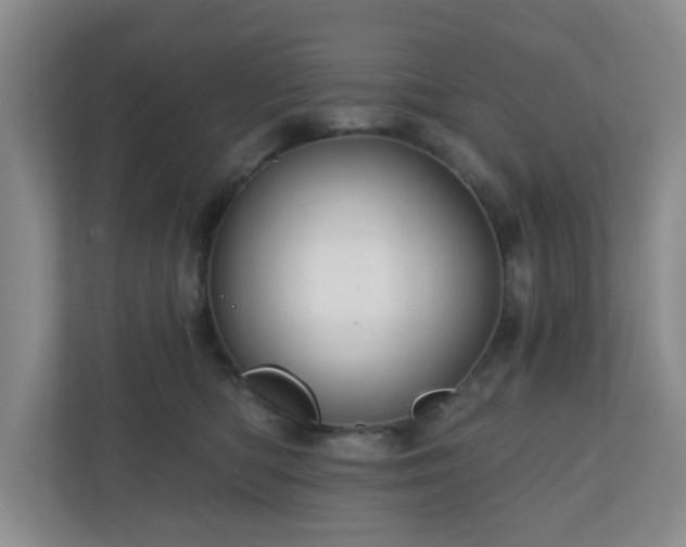 X0000111160422200907071133