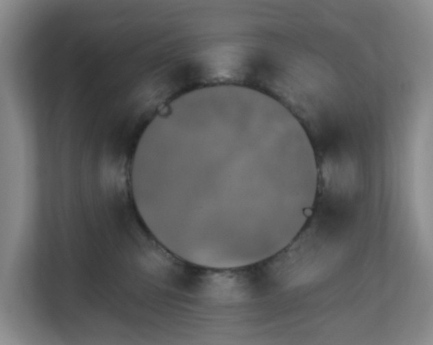 X0000111160423200907071133