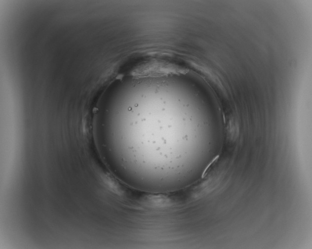 X0000111160424200907071133