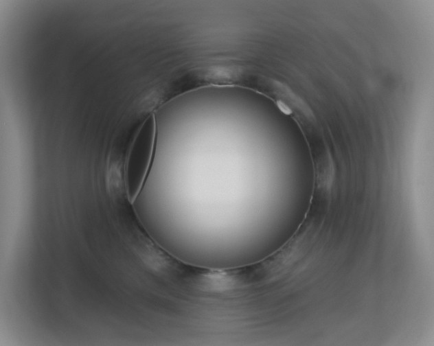 X0000111160425200907071133