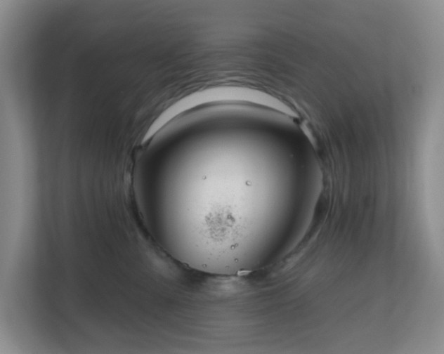 X0000111160427200907071133