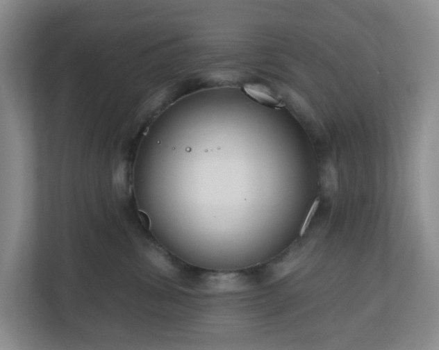 X0000111160428200907071132