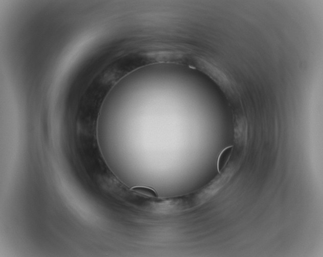 X0000111160430200907071132
