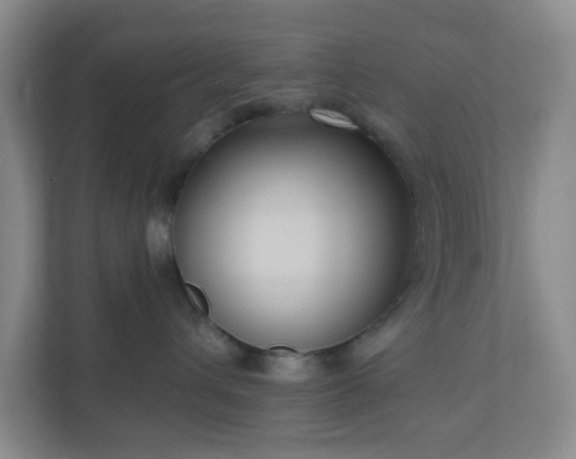 X0000111160432200907071132