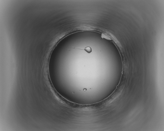 X0000111160433200907071132