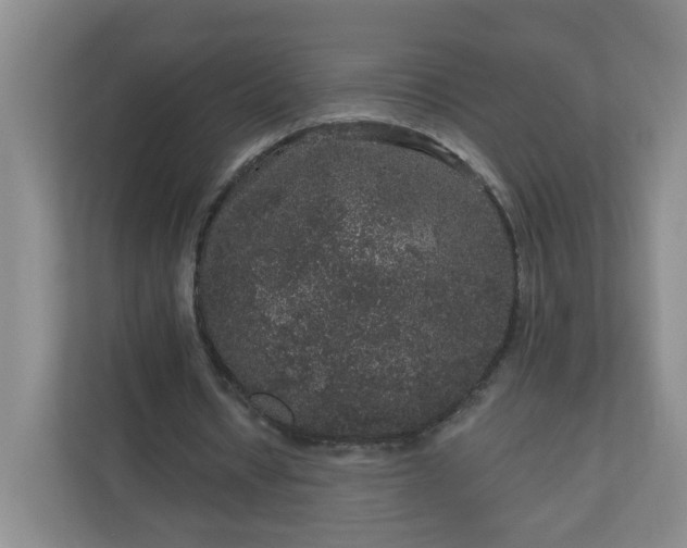X0000111160434200907071132