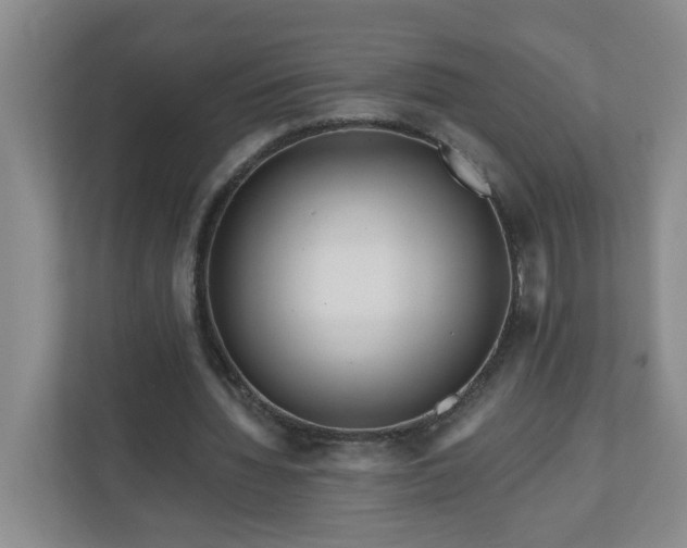 X0000111160436200907071132