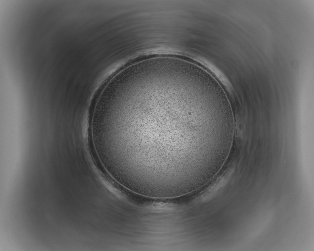 X0000111160437200907071132