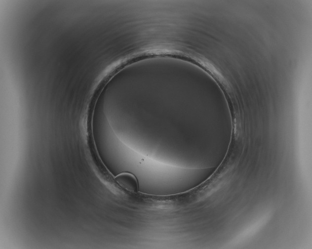 X0000111160438200907071132
