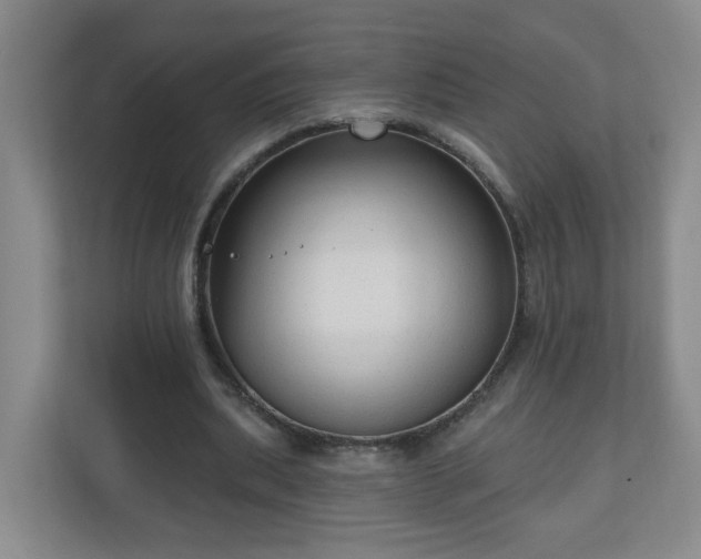 X0000111160439200907071132
