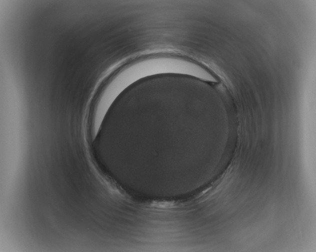X0000111160440200907071132