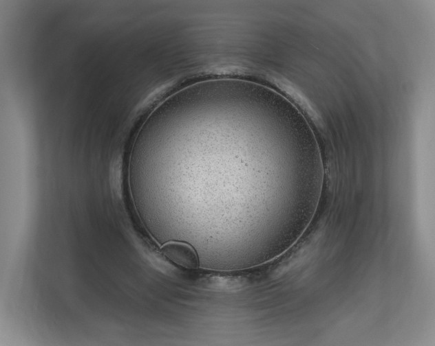 X0000111160442200907071132