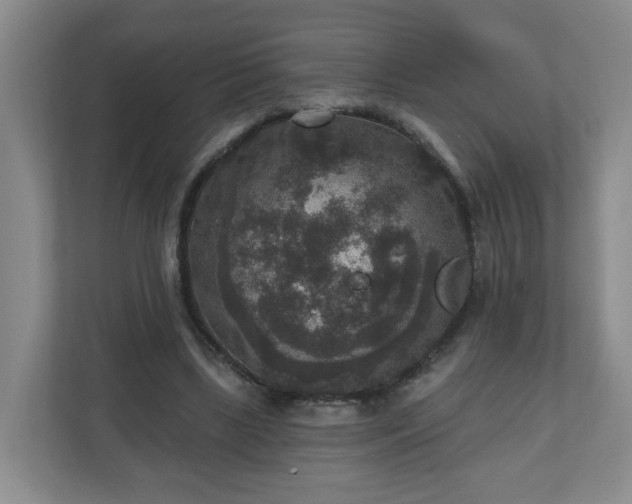 X0000111160443200907071132