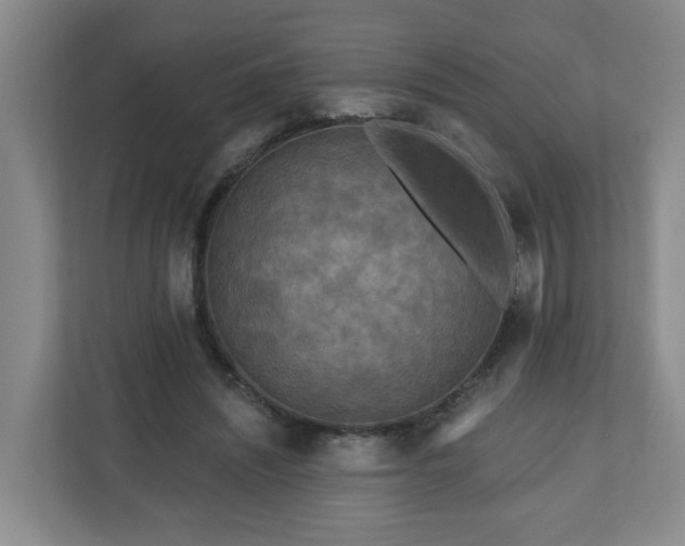 X0000111160444200907071132