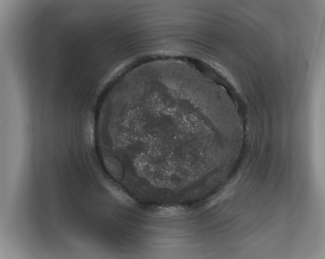 X0000111160446200907071132