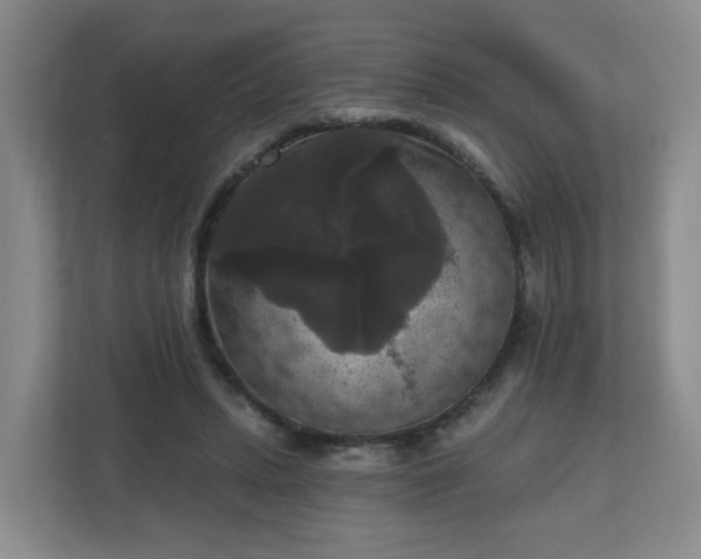 X0000111160447200907071132