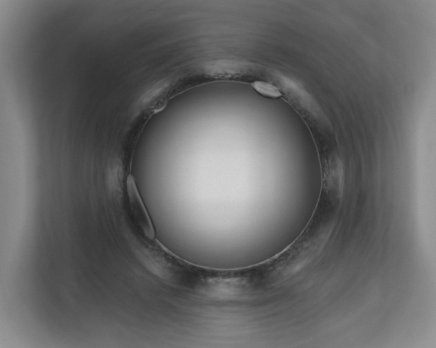 X0000111160448200907071132