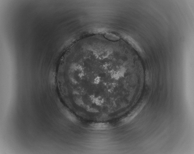 X0000111160449200907071132