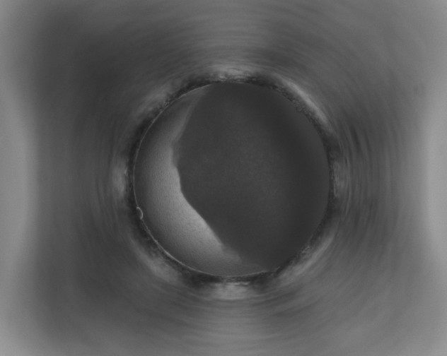 X0000111160451200907071132