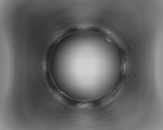 X0000111160452200907071132