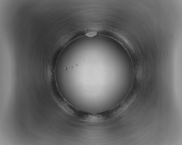 X0000111160455200907071132