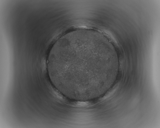 X0000111160457200907071132