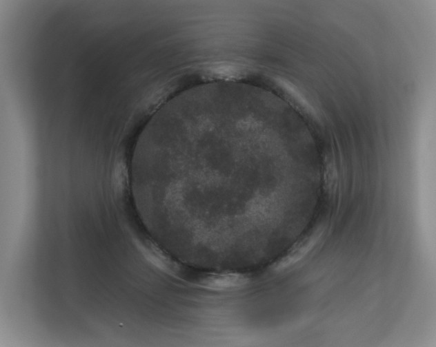 X0000111160459200907071132