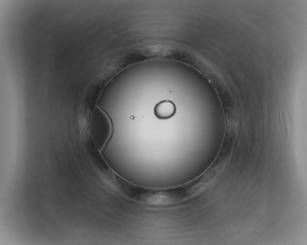 X0000111160460200907071132