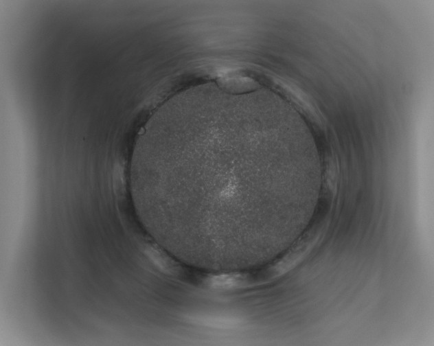 X0000111160461200907071132