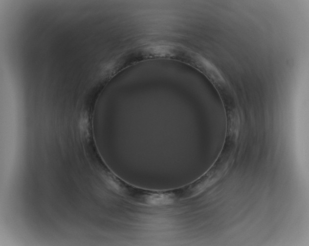 X0000111160465200907071132